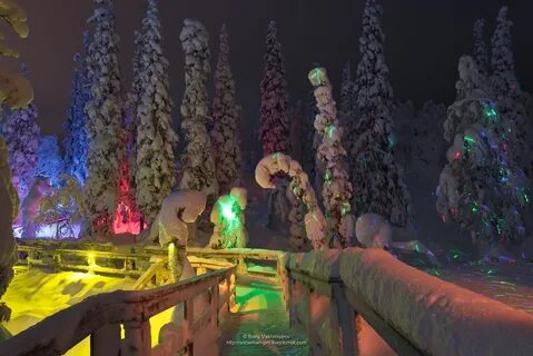 Кировск новогодний
