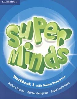 Super minds 1 practice book