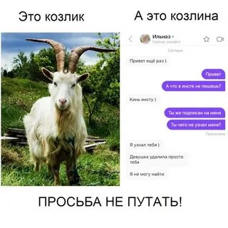 10 раз привет