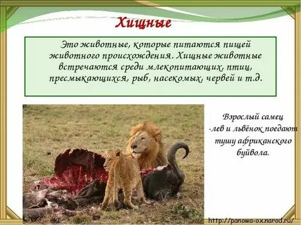 Хищнический предложение