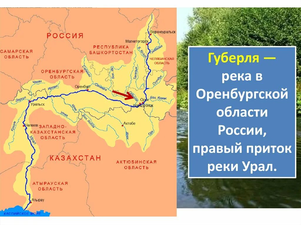 Река Урал Оренбургской области впадает. Карта Оренбургской обл река Урал. Карта реки Урал в Оренбургской области. Притоки реки Урал Оренбургской области.