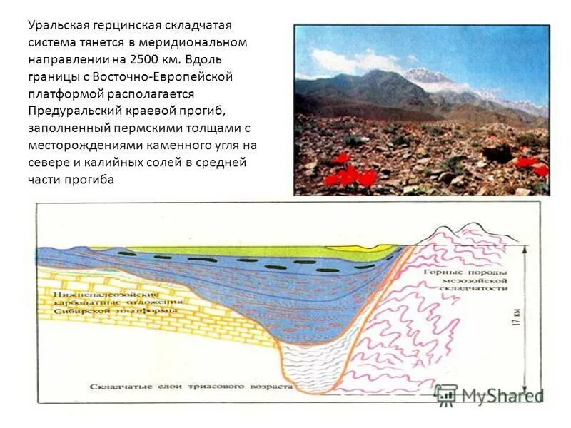Герцинская складчатость горы на карте. Краевой прогиб Урала. Краевой прогиб Геология. Предуральский краевой прогиб Геологическое строение. Уральская герцинская складчатая система