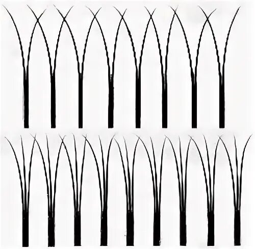 Правильный пучок 2д. Раскрытие Пучков в наращивании ресниц. Раскрытие пучка 2 д.