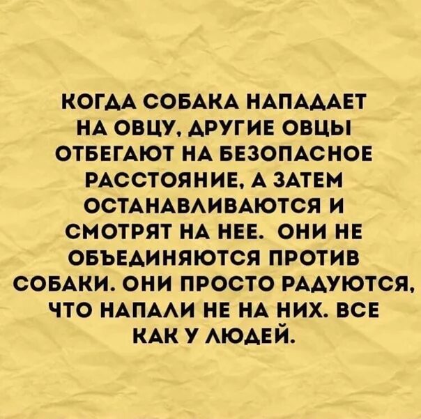 Лучшие цитаты. Цитаты про друзей и врагов. На то указывало хотя. На то указывало хотя. Цитаты про чужие ошибки.