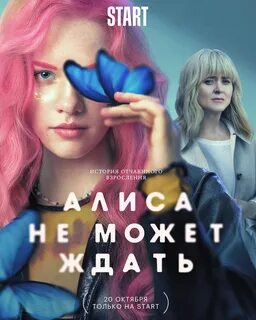 Алиса вы не понимаете