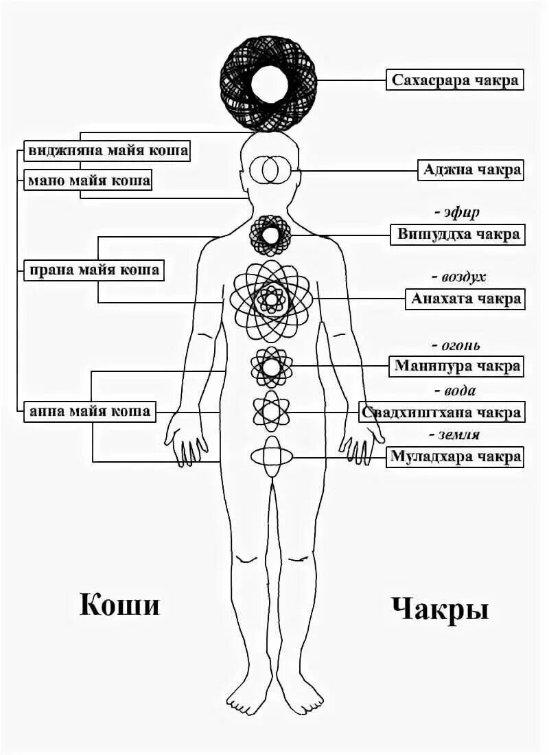 Основные чакры вид спереди. Энергетические центры человека схема расположения. Чакры человека в картинках с названиями и описанием. Чакры человека расположение. Чакры названия и расположение