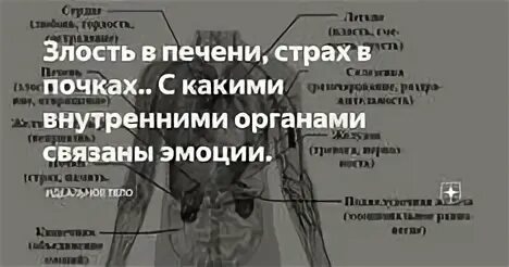 Болит печень почки. Болят почки психосоматика. Психосоматика болезней почек. Почки психосоматика у женщин. Психосоматика болезней почек у женщин.