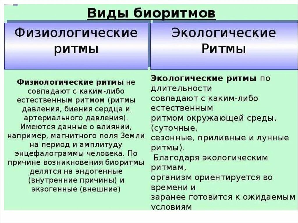 Виды биологических ритмов человека. Типы биоритмов человека. Экологические биоритмы. Экологические биоритмы человека.