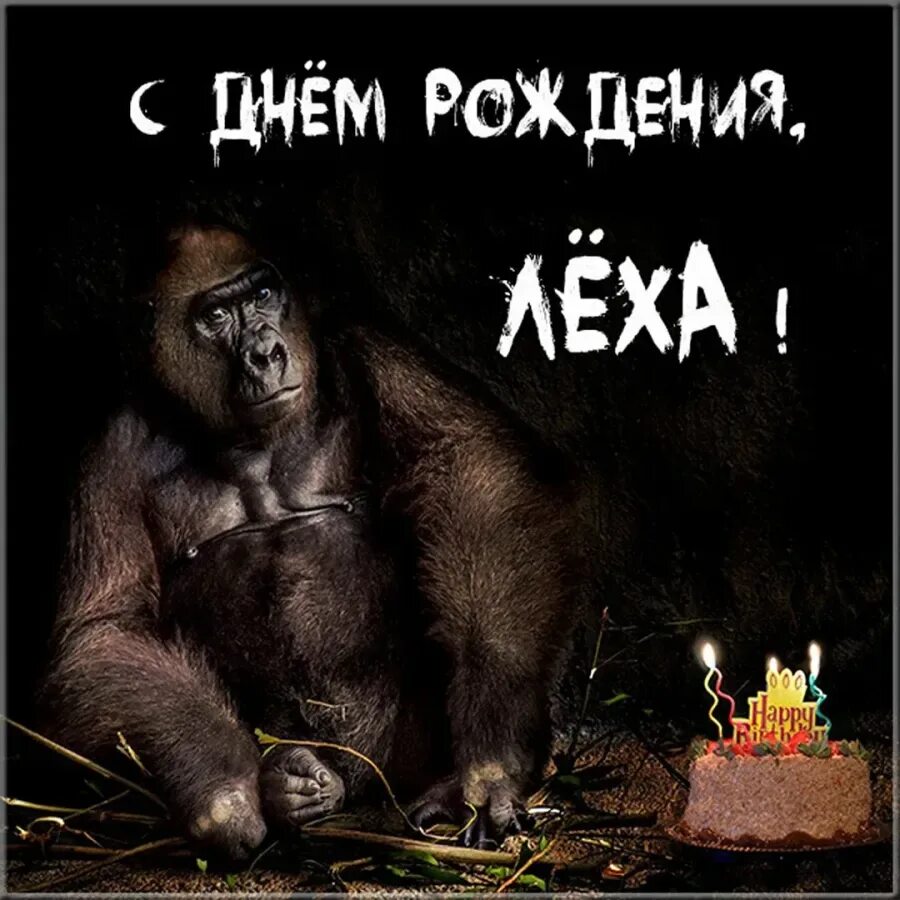 Открытка с днем рождения мужчине алексею прикольные. Поздравления с днём рождения Леха. Поздравления с днём рождения Алексею. Смешные открытки с днем рождения. Поздравления с днём Алексея прикольные.
