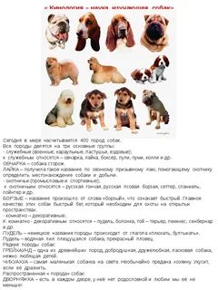 Породы собак характеристики фото