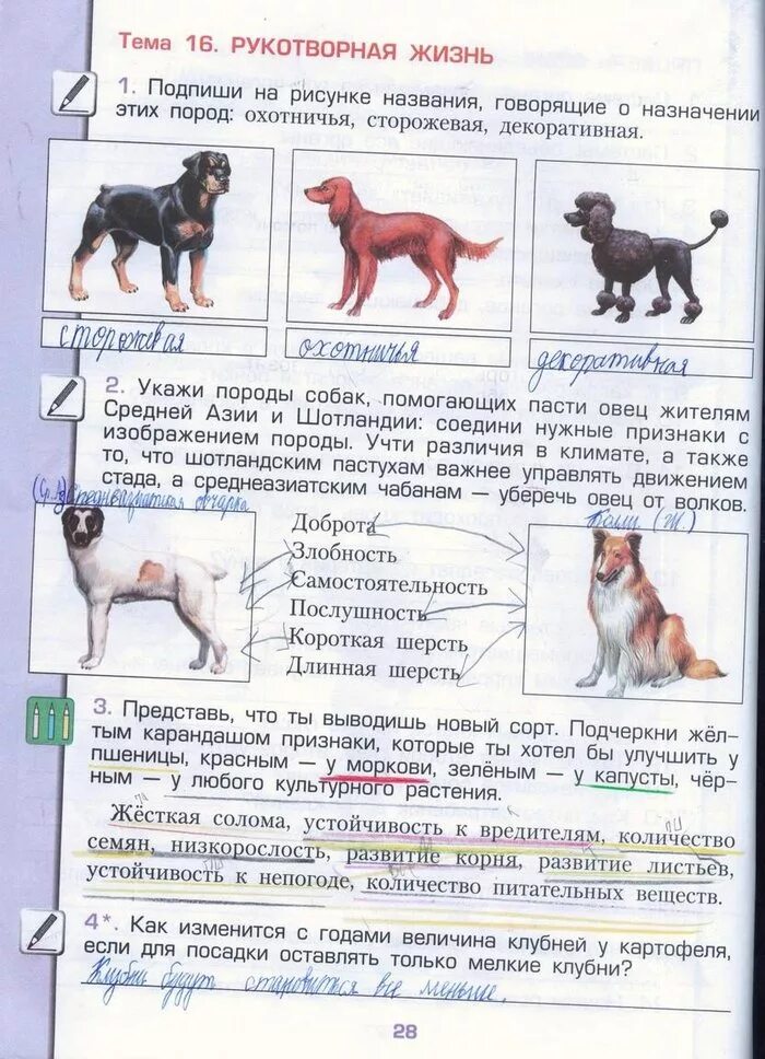 про кошек и собак окружающий мир 2 класс плешаков рабочая тетрадь. про кошек и собак 2 класс окружающий мир рабочая тетрадь. атлас определитель породы собак 2 класс. окружающий мир 2 класс рабочая тетрадь стр 58. собачьи профессии окружающий мир рабочая тетрадь.