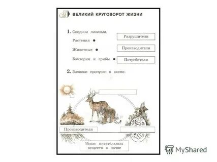 Круговорот жизни 3 класс окружающий мир тест