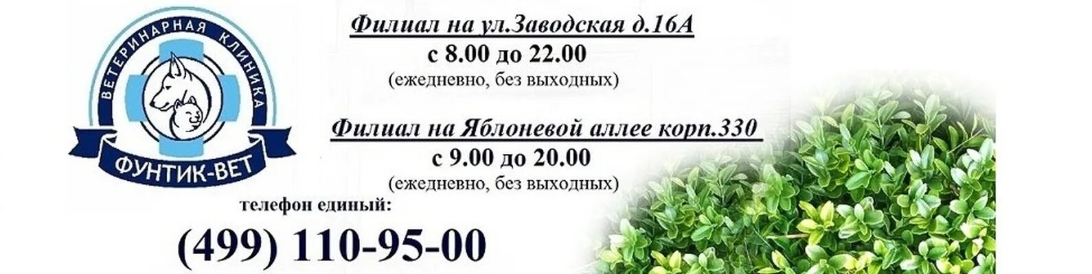 Ветклиника динго зеленоград. Ветклиника динго екатеринбург амундсена 120. Ветеринария зеленоград. Фунтик вет зеленоград 330. Фунтик вет.