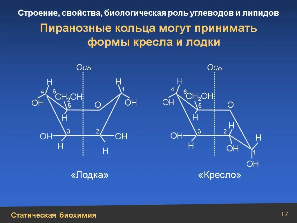 Сахароза биологическая роль. Пиранозная форма. Пиранозное кольцо. Пиранозная форма углеводов. Строение и биороль.