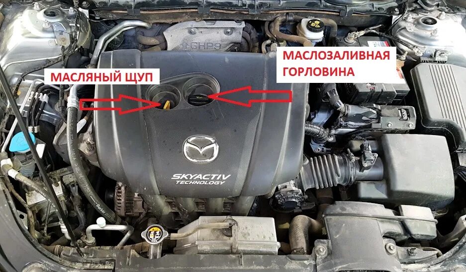 Mazda 6 масло двигателя. Мазда 6 щуп масла двигателя. Мазда 2.3 щуп масла. Мазда 6 горловина масло двигатель. Мазда 6 GH щуп двигателя.