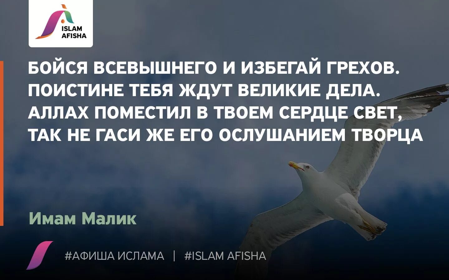 Бойтесь всевышнего. Бойся Всевышнего и избегай грехов. Боязнь Всевышнего. Нет послушания творению в ослушании Творца хадис. Нет повиновения творению в ослушании Творца.