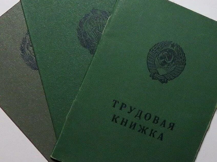 Трудовая книжка. 2 трудовых книжки одновременно. Две трудовые книжки последствия для работника. 2 трудовых книжки одновременно. Трудовая книжка мем.