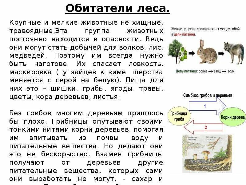 Проект природные сообщества. Доклад о природном сообществе. Природное сообщество окружающий мир. Проект на тему природное сообщество. Рассказ о природном сообществе по плану