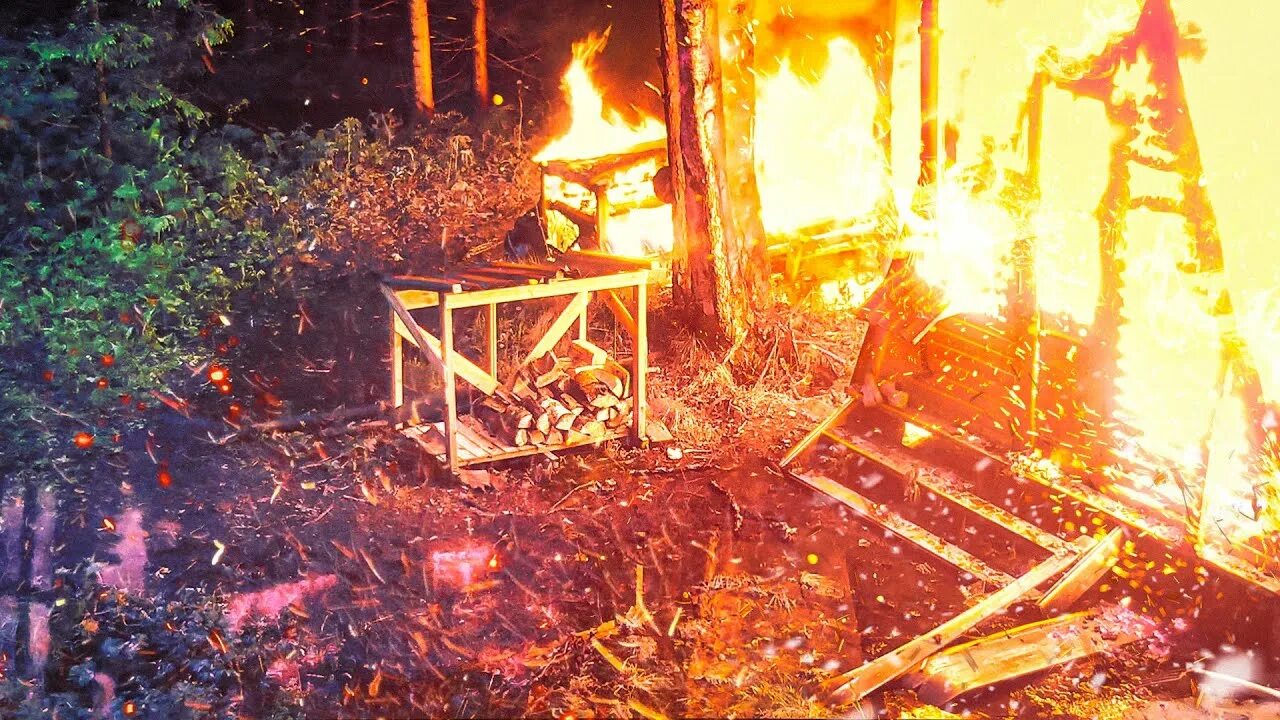 Канал лесные видео. Сожженный лес. Сгоревший дом в лесу. Лесные сожгли дом в лесу. Сгоревшая изба.