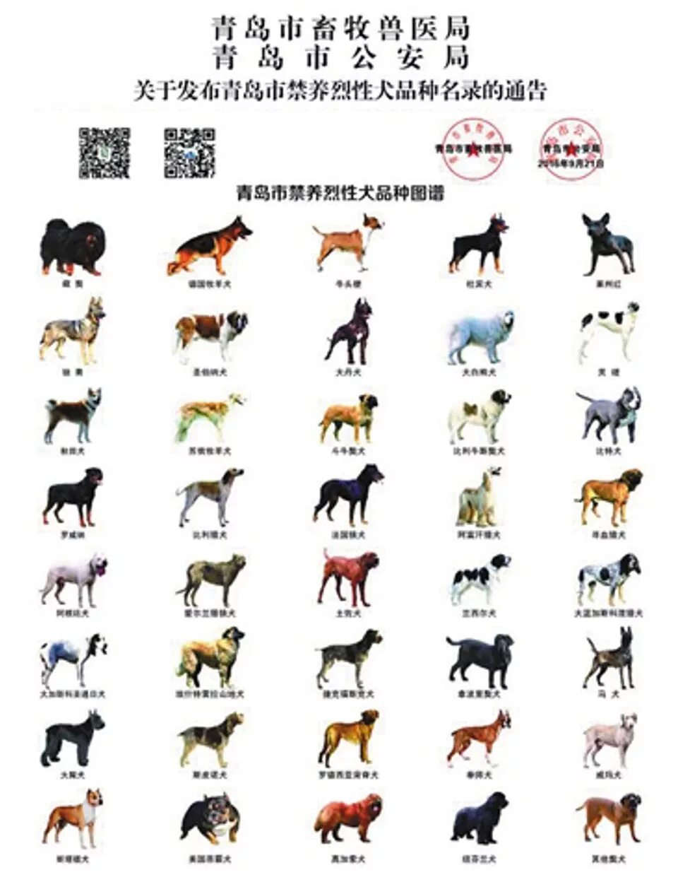 Породы на букву е. Китайские породы собак. Название собак. Самые распространенные породы собак. Популярные породы собак.