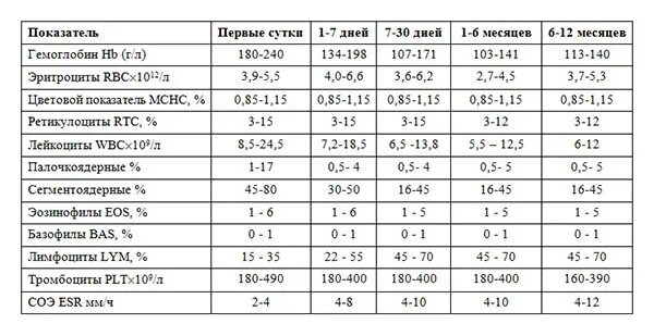 Гемоглобин 6 месяцев. Нормы общего анализа крови у детей 2 года таблица. Анализ крови грудничка норма в 2. Анализ крови у детей 1 года норма и расшифровка. Анализ крови расшифровка у детей 2 года норма в таблице.