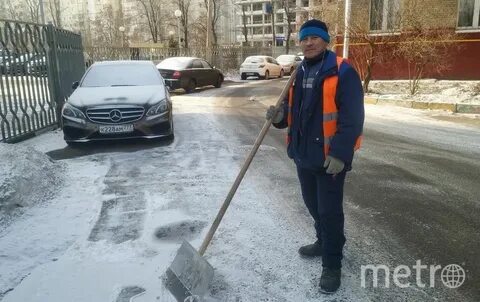Куда требуется дворник
