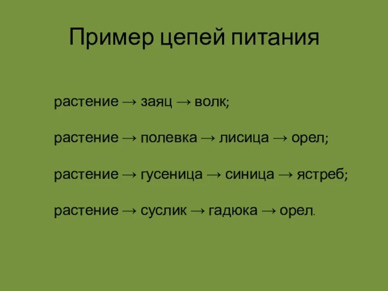 Составьте 3 5 пищевых цепей. Цепочка питания биология 5. Цепочка питания 5 класс биология. Составьте пример пищевой цепи. Пищевые цепи 5 класс 5 примеров.