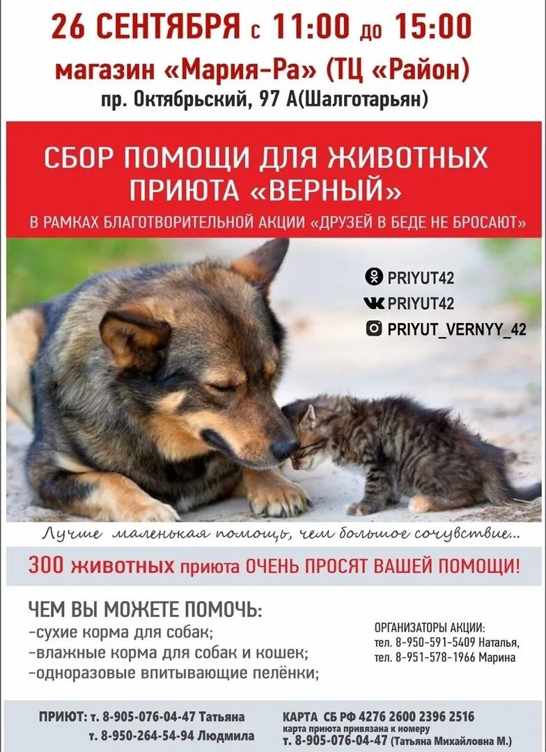 Приют копейск. Приют верный пес копейск. приют верный пес рубцовск. копейск приют для собак верный пёс. приют верный кемерово.