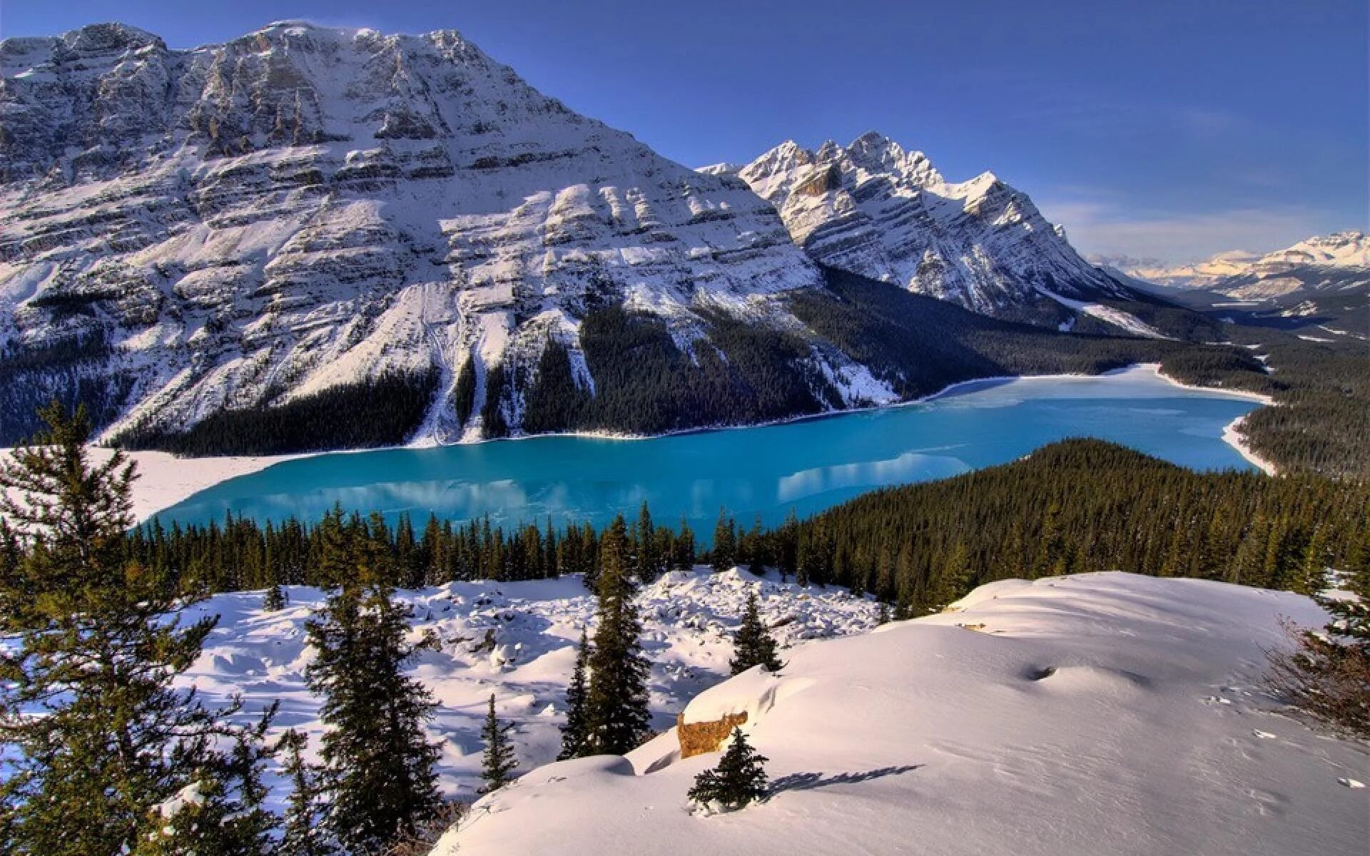 Фото картинки красивые. Озеро Пейто Канада. Озеро Пейто (Peyto), Канада. Пейто Лейк. Озеро Пейто Канада зимой.