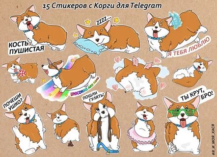 День корги какого числа
