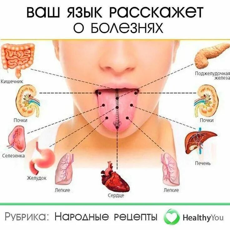 Точки органов на языке человека. Желудок кислота во рту
