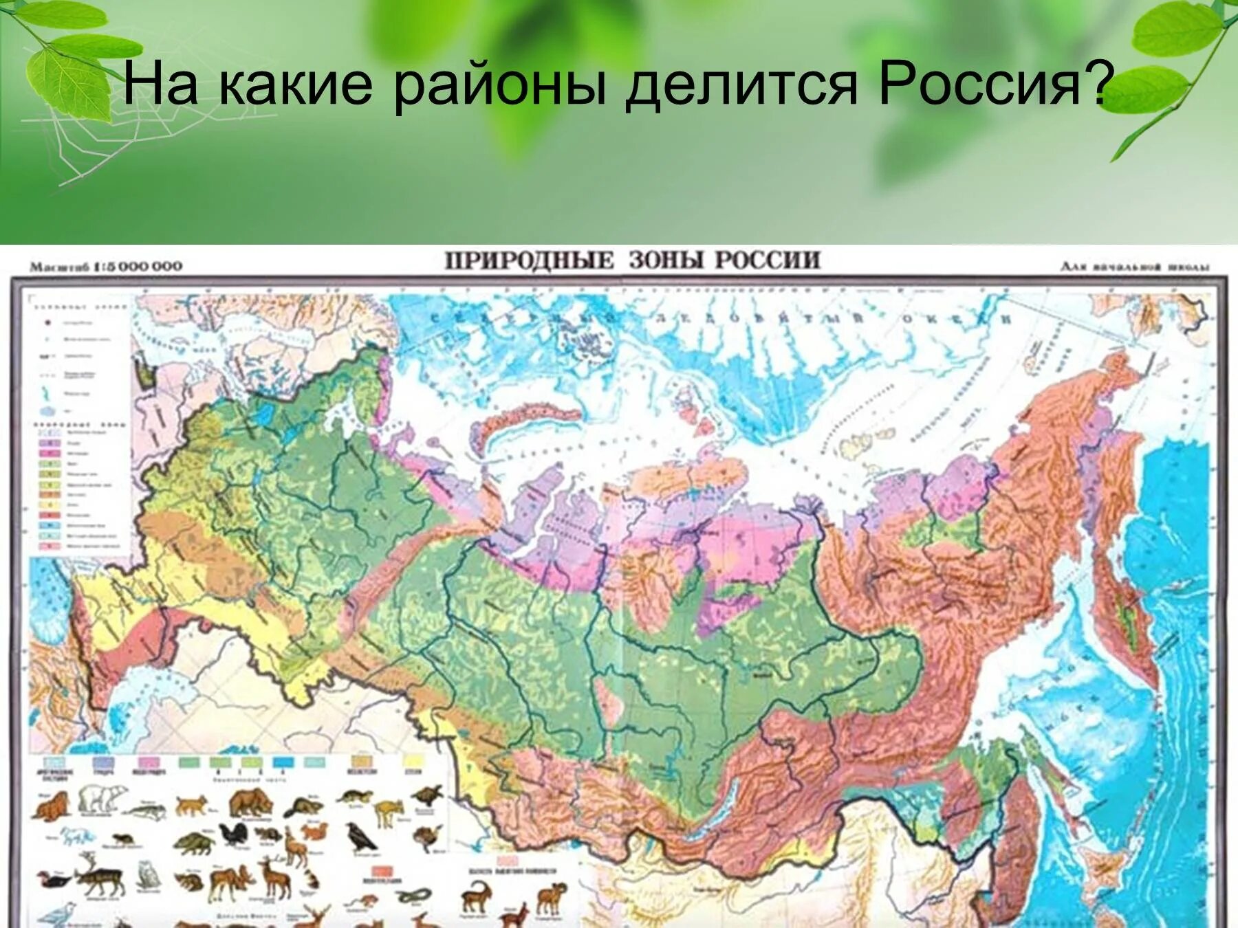 Степи на карте России природных зон. Тайга на карте России природных зон. Карта России 2 природные зоны. Карта природных зон России 8 класс география. Наименование участка местности природная зона