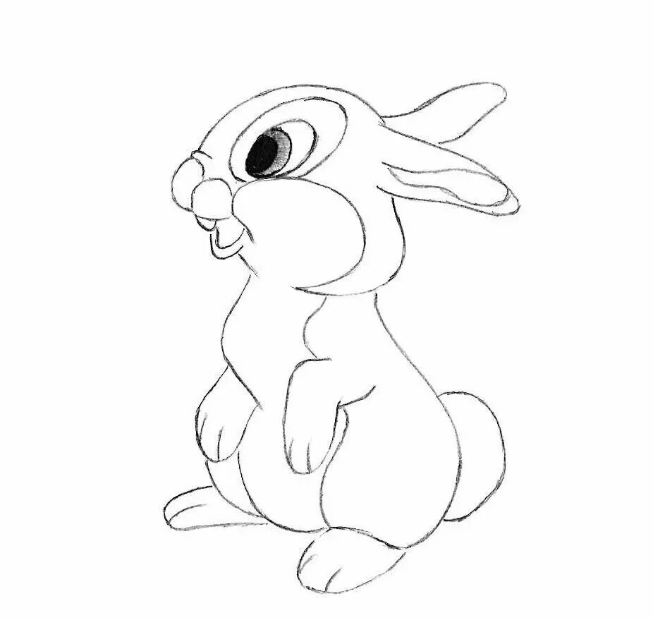 Нарисовать кролика карандашом. Рисунок кролика карандашом для срисовки. Зайчик рисунок. Рисунок зайца карандашом для срисовки. Рисунок кролика для срисовки.