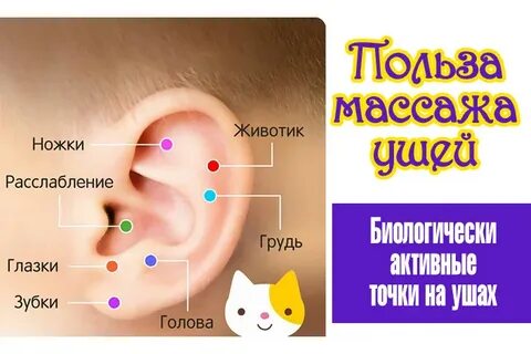 Массаж козелка уха