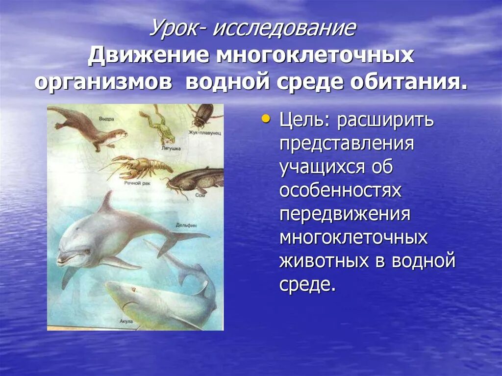 Водная среда обитания организмов 5 класс презентация