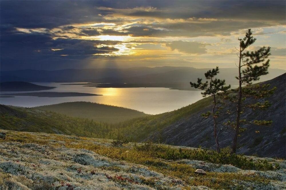 Заполярная природа словно. Имандра Кольский. Мурманск Лапландский заповедник озеро Имандра. Озеро Имандра и Хибины. Мурманск природа Кольский полуостров.