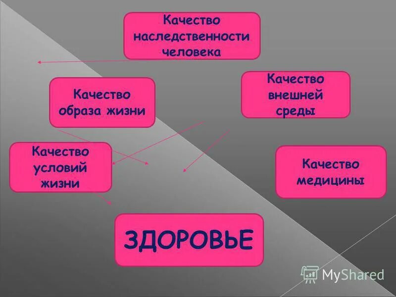 Человеческие качества васи. Качество образа жизни это. Наследственные качества личности. Неудовлетворительное качество образа жизни.