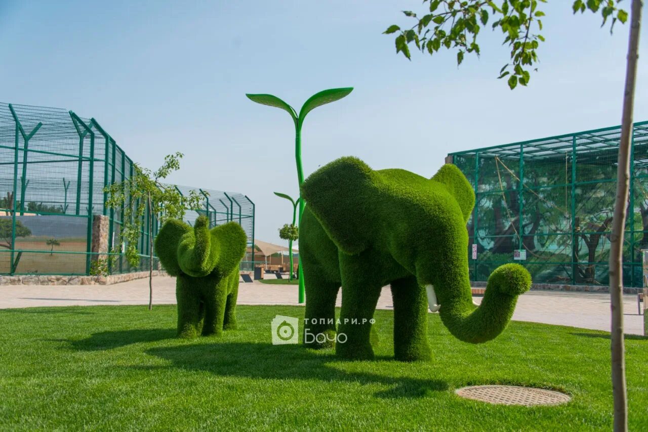 Парк айва в москве. Топиари парк айва. Биопарк Одесса. Топиарные фигуры слон. Топиари парк айва в Москве.