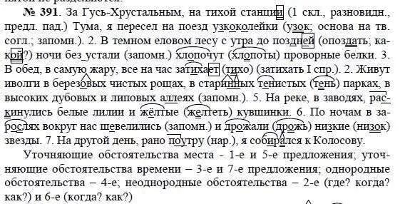 Русский язык 8 класс задания. Гдз по русскому языку 8 класс. Русский язык 8 класс практика учебник. Русский язык пятого класса упражнение 391.