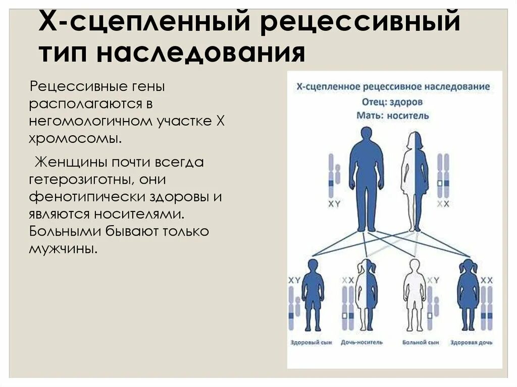 Рецессивно доминантный тип наследования. Признаки типа наследования сцепленными с полом рецессивного. Х рецессивный Тип наследования болезни. У сцепленный рецессивный Тип наследования. Наследование сцепленное с х хромосомой.