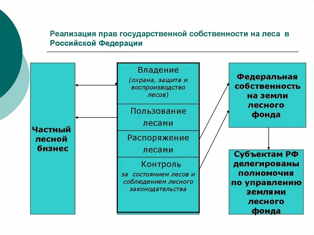 Право собственности на лес. Право собственности на Лесные участки.