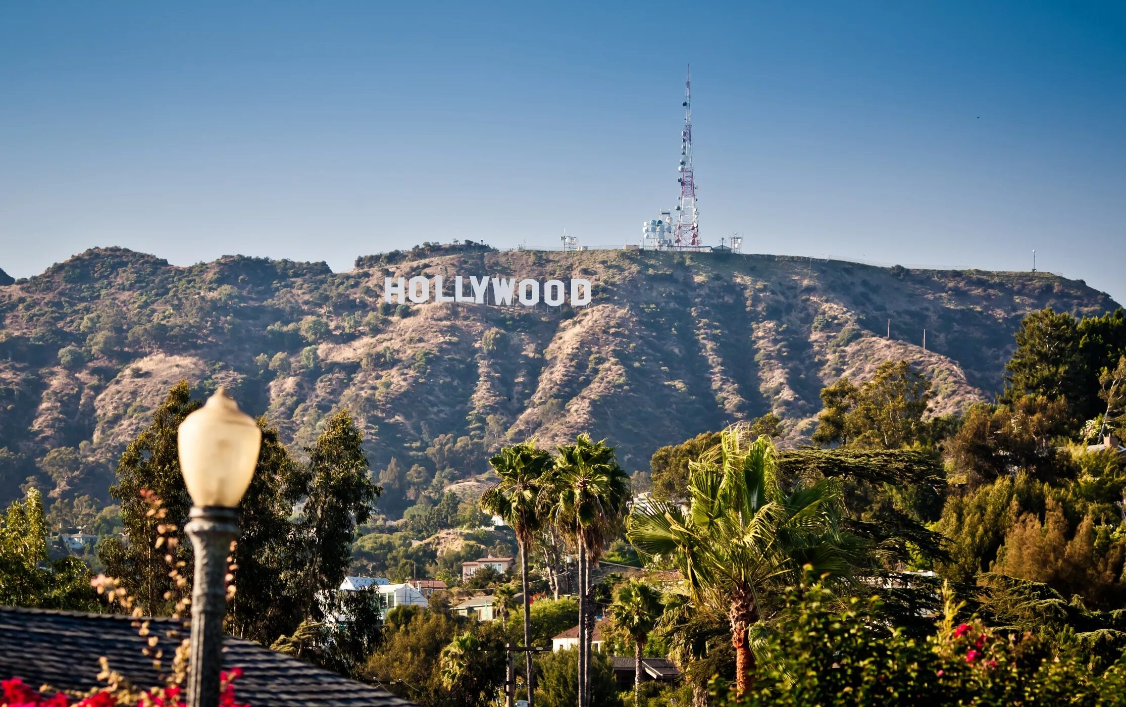 Лос Анджелес Голливуд. Лос Анджелес голливудские холмы. Гора Голливуд в Лос Анджелесе. Лос Анджелес достопримечательности Голливуд.