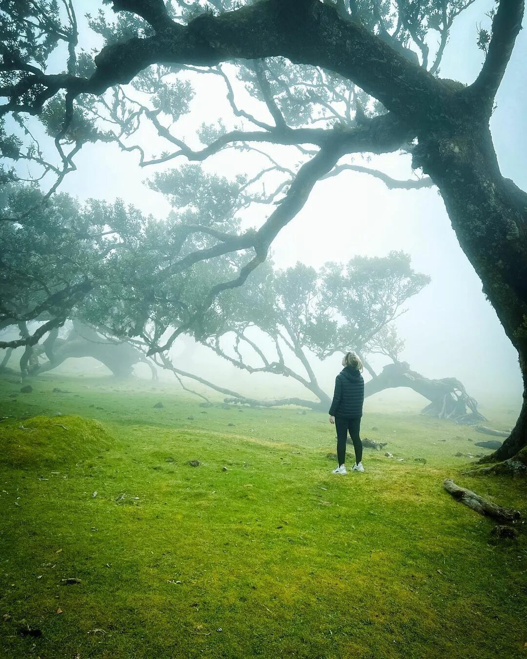 человек свет красивые. люди света отзывы.