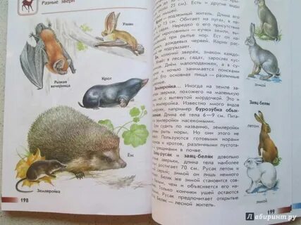 Атлас определить 2 класс окружающий мир
