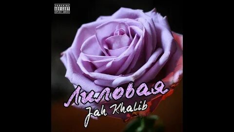 Лиловая khalib