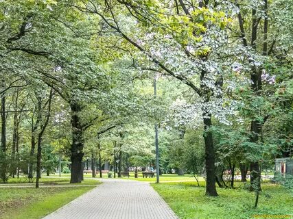 Парки и скверы рощи сады