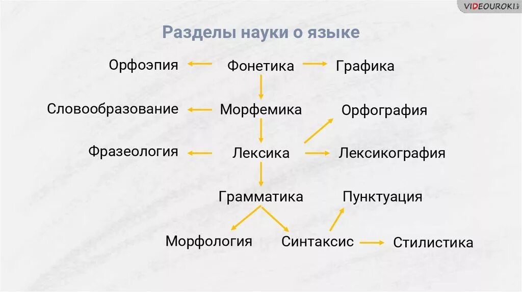 Уровни языка фонетика. Разделы науки о языке таблица. Название разделов науки о языке. Разделы науки о русском языке таблица. Взаимосвязь единиц языка разных уровней.