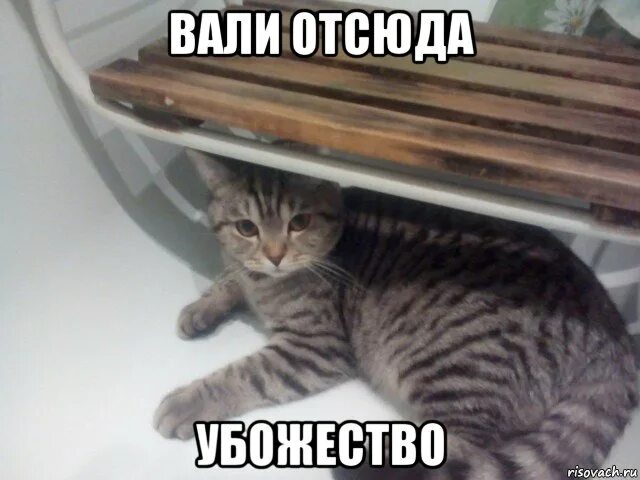 Тг дети валите отсюда. Вали отсюда. вали отсюда картинка. вали отсюда мем. убожество мем.