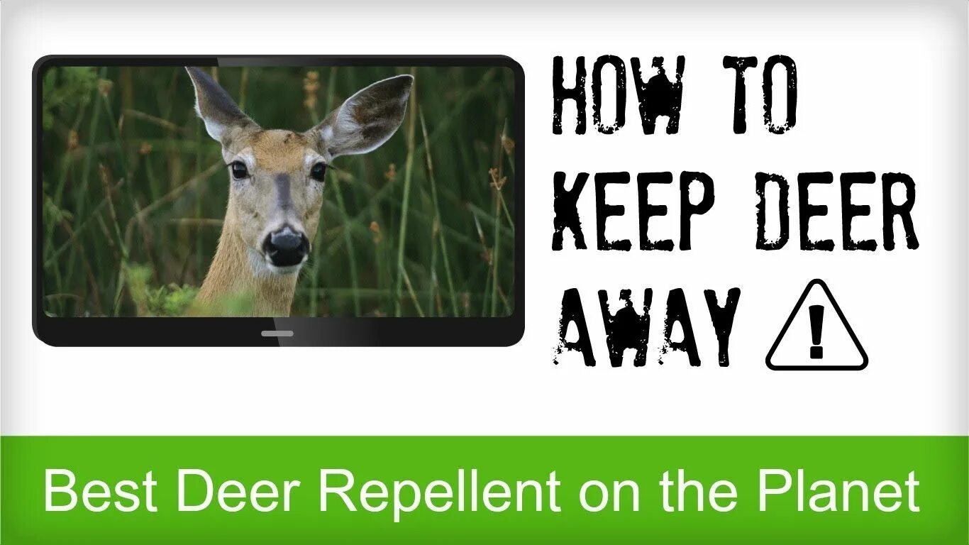 Deer перевод. Deer giipir приложение для андроид. Save Deer quote. Бутылка done by Deer.