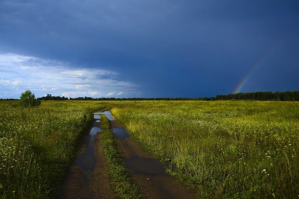 Свежо после грозы. Природа после грозы. Радуга после грозы. Солнце после грозы. Поле после грозы.